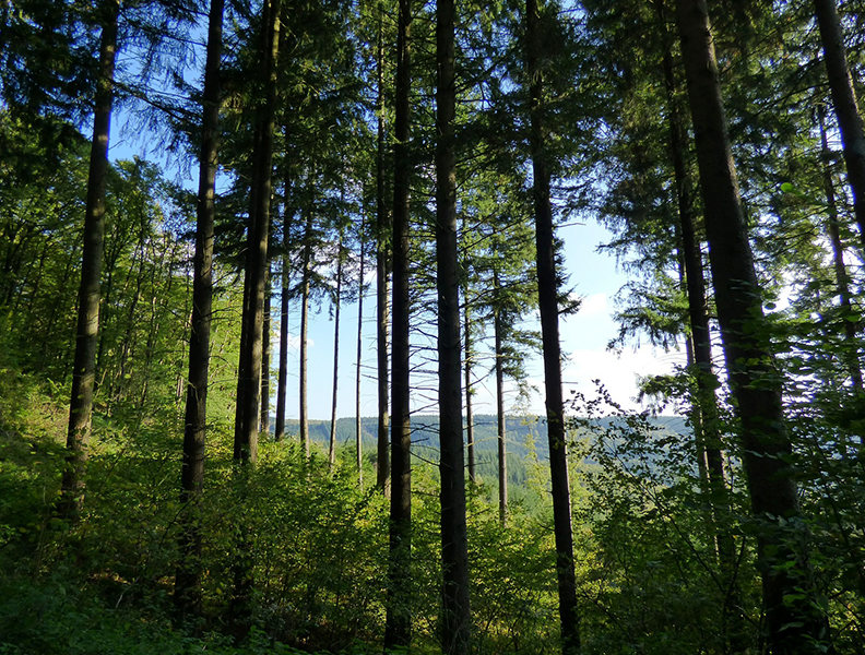 Kamperen in Luxemburg