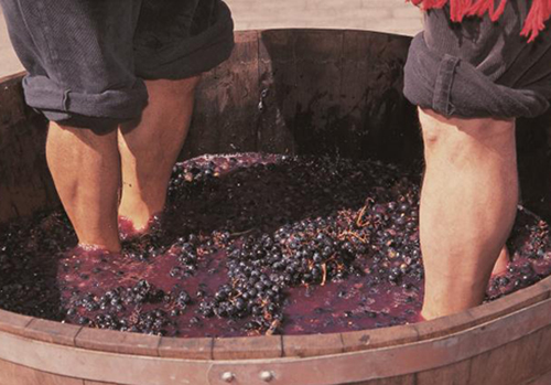 Rioja Wine Harvest Festival Rioja Wine Harvest Festival