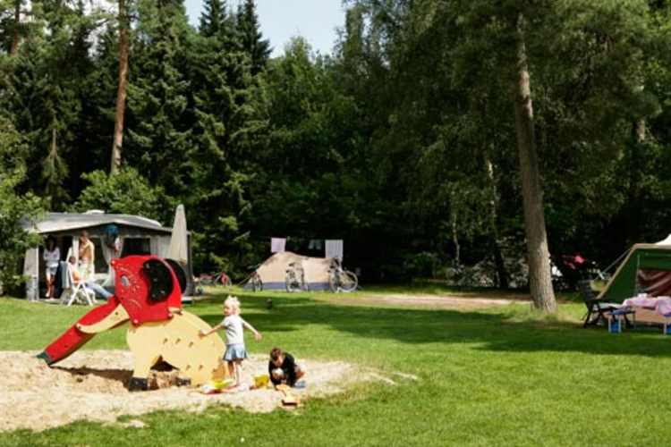 Landgoed Ginkelduin